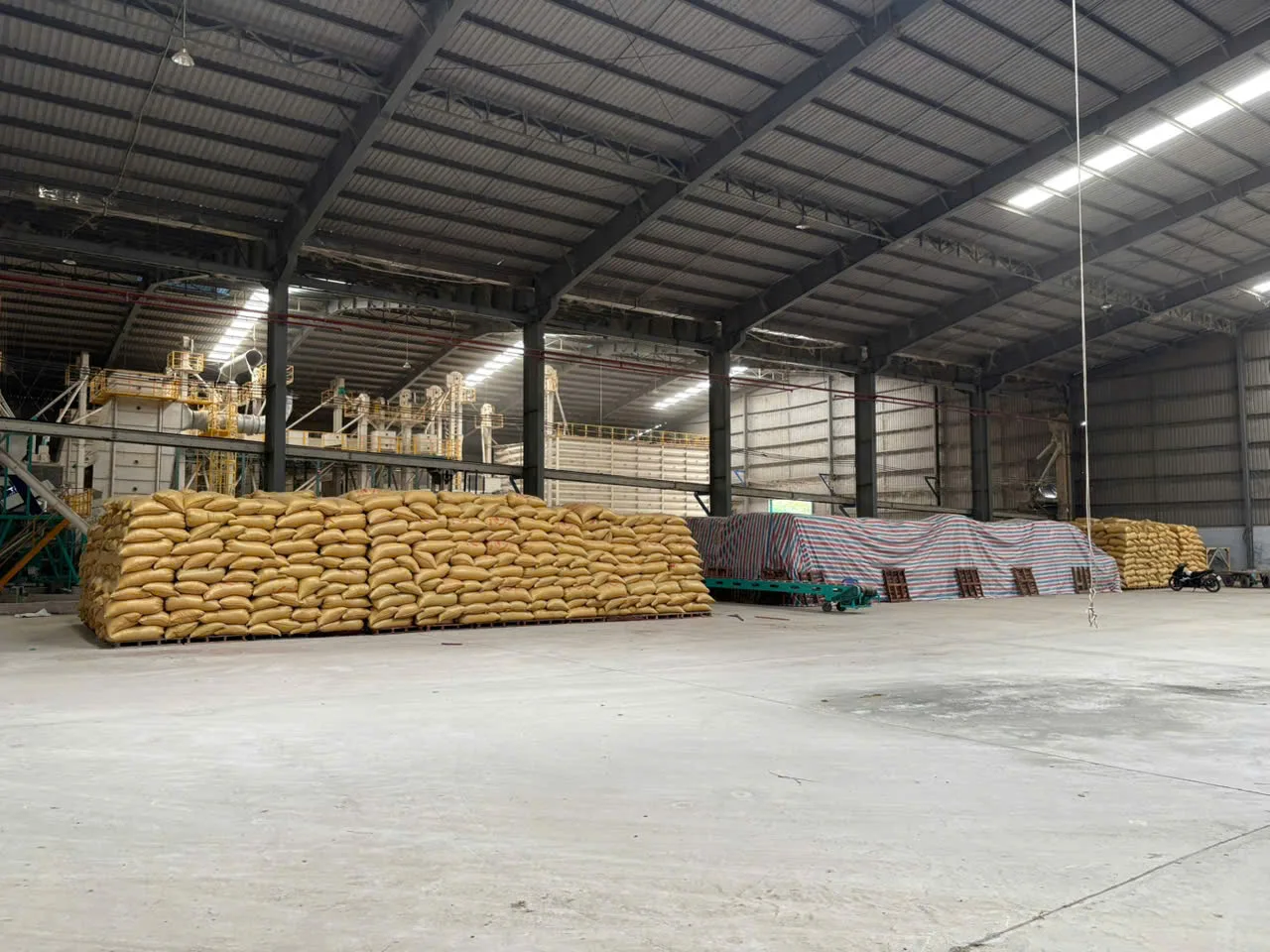 Kho nguyên liệu và dãy máy nhìn từ một góc xưởng